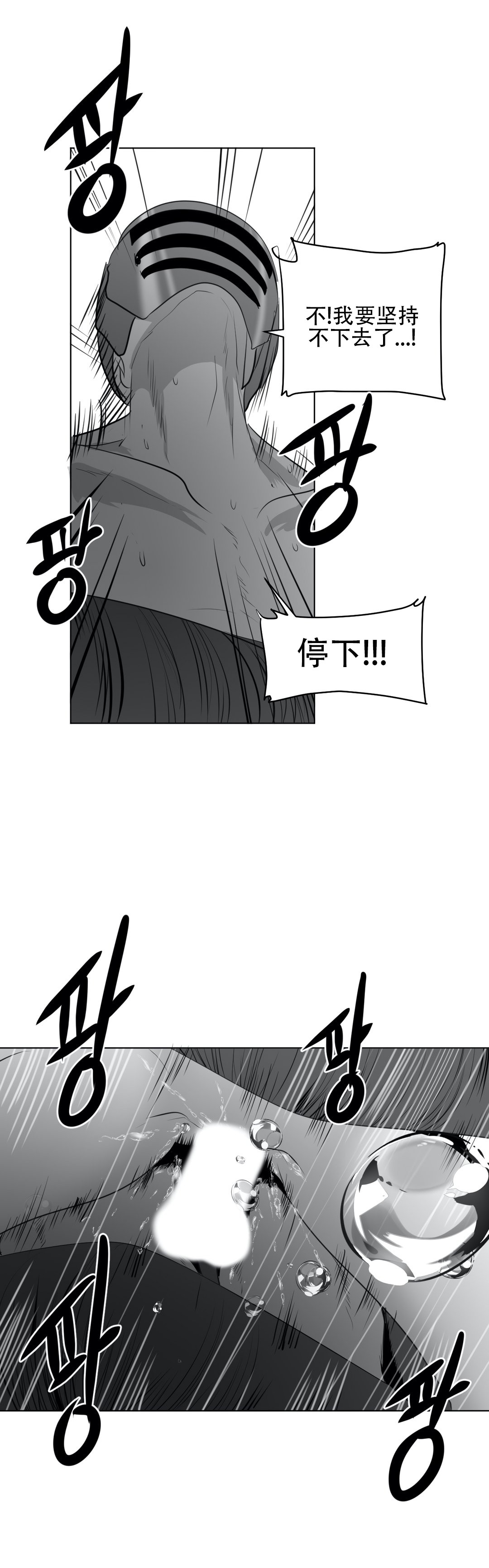 迷宫干 443