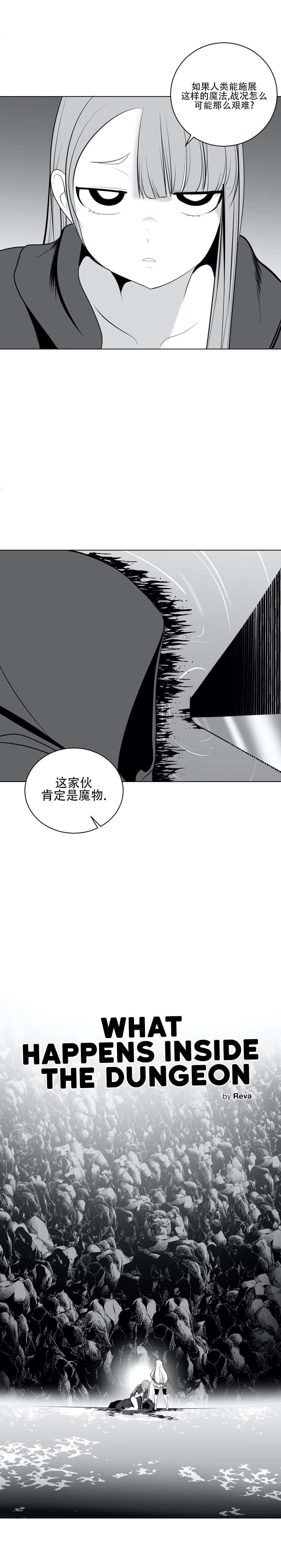 迷宫干 480