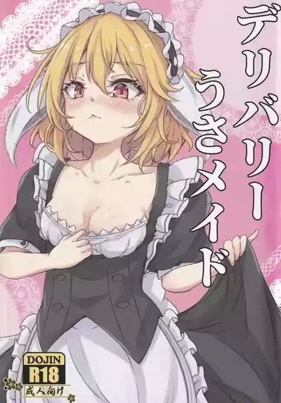 Delivery Usa Maid 1