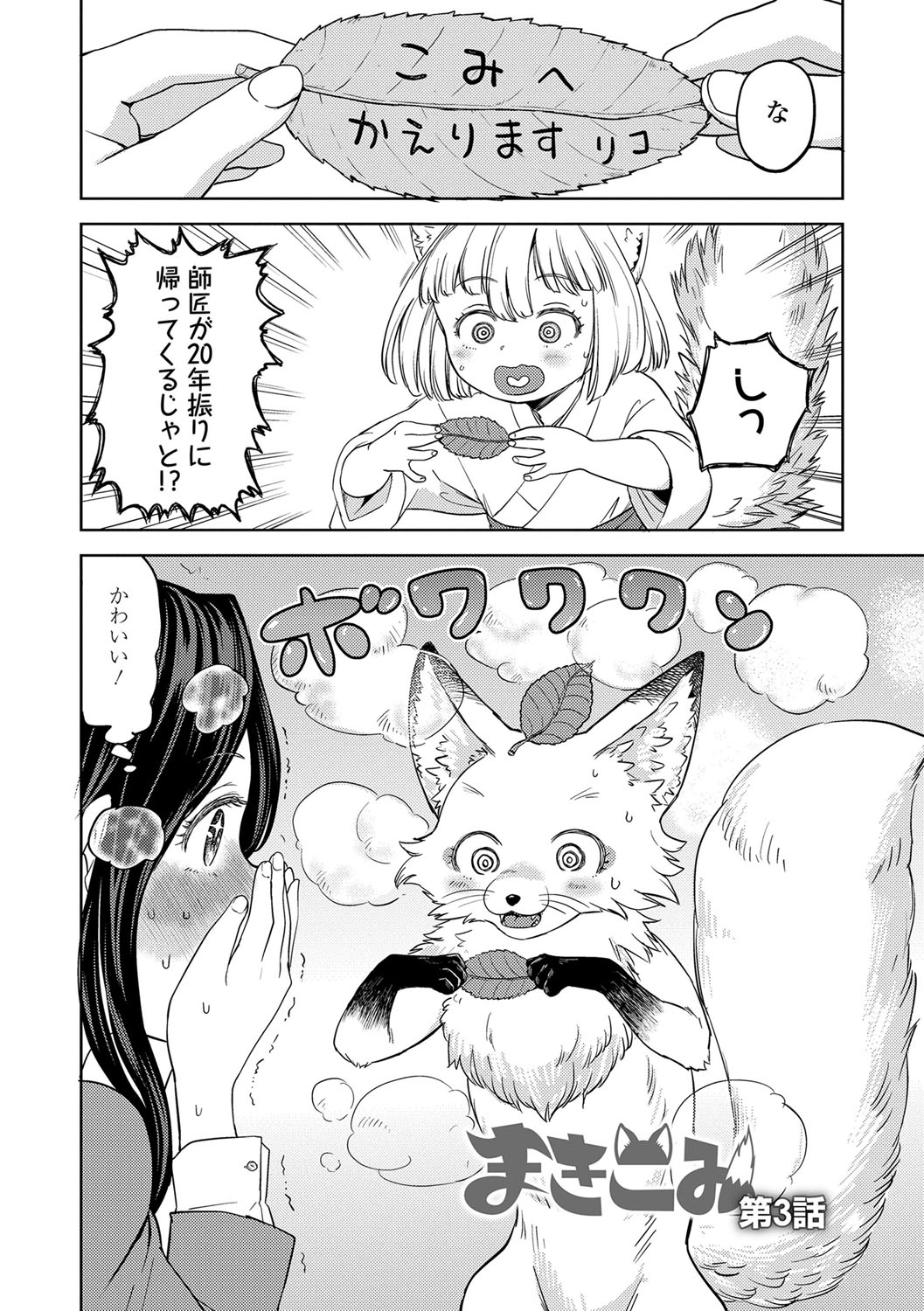 Makikomi 60