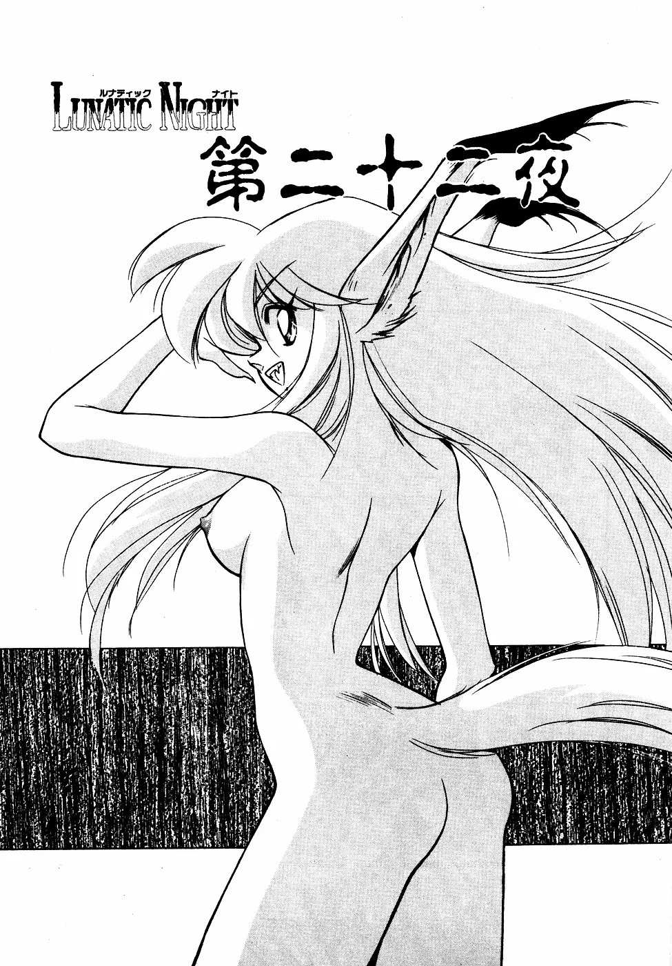 LUNATIC NIGHT III 45