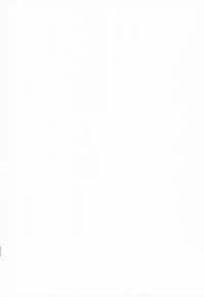 Seita-kun wa Manken no Omocha 2