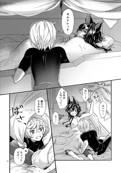 Wakaba to Hinadori 10