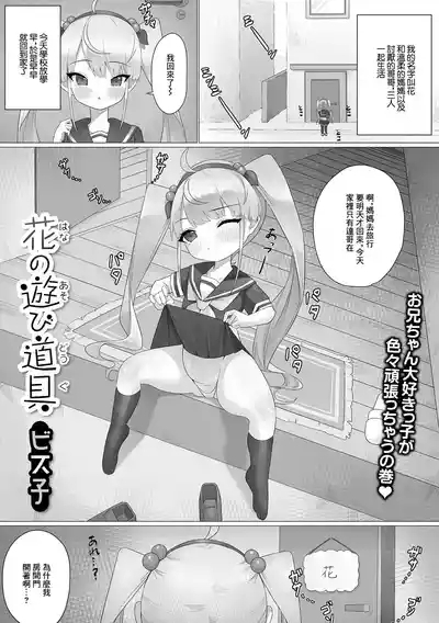 花の遊び道具 1