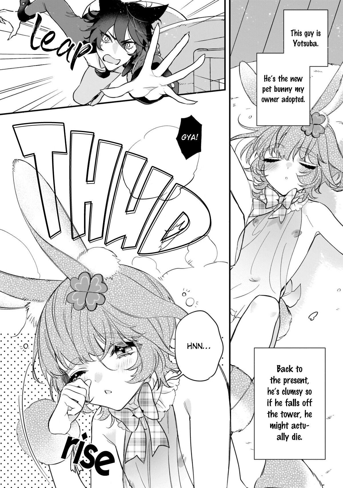 Neko hame usagi-chan wa gaman shinai - Page 5