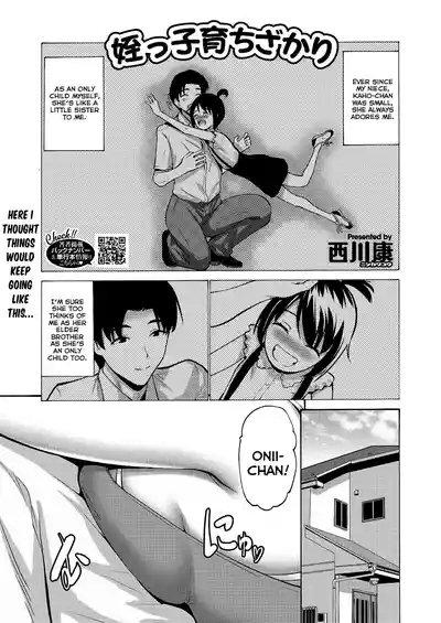 meizakari 1