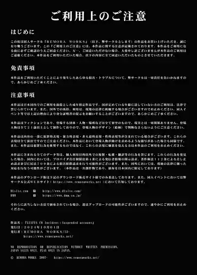 LESFES CO Incident: Suspended account 2