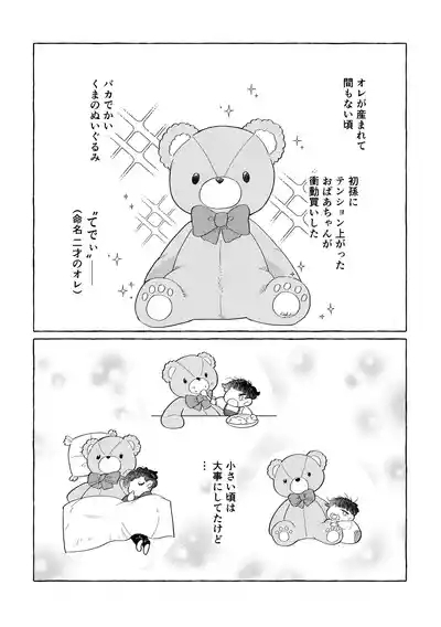 Fuwa Fuwa Mai Su Tedi 9