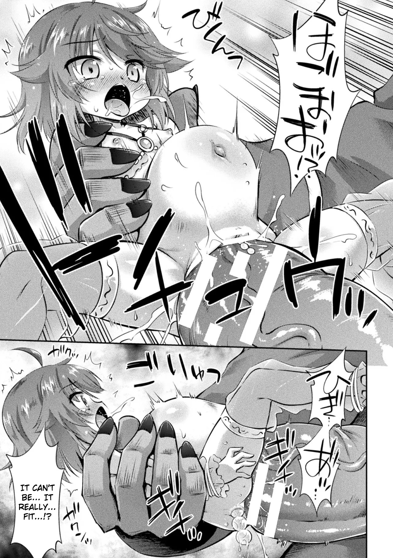 Meikyuu no Chiisana Hanayome | Little Bride in the Labyrinth 14