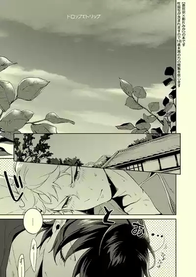Drop de Trip 2