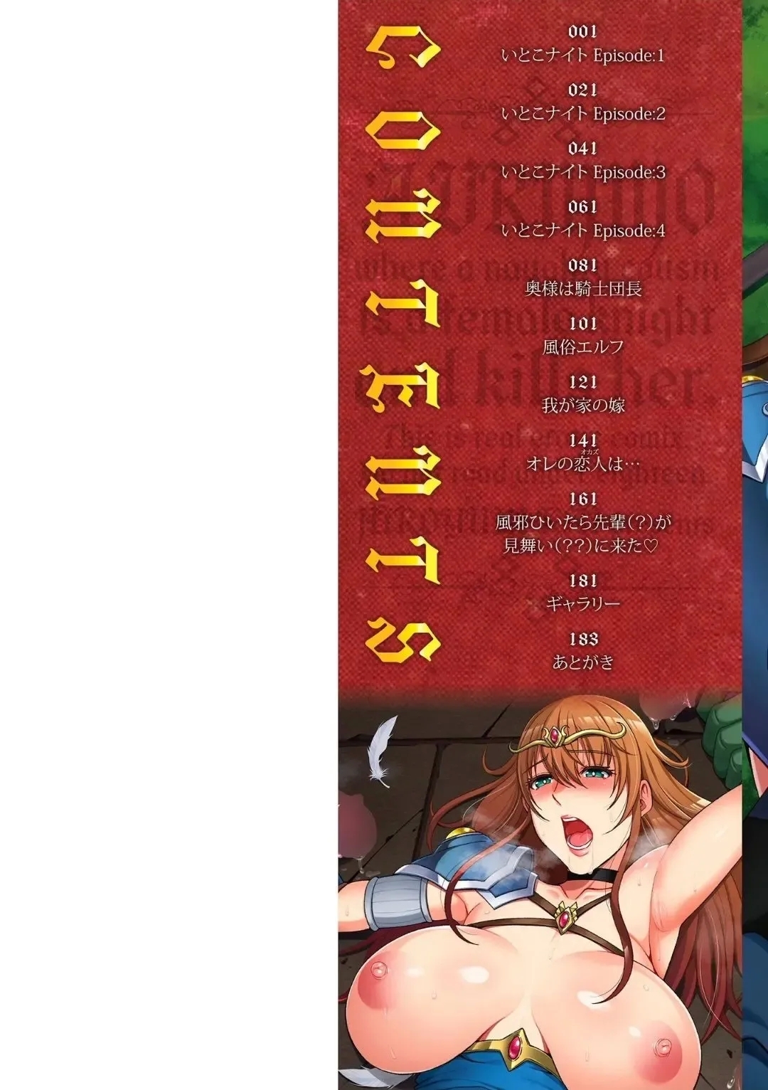 Ecchi na Itoko ga Onna Kishi de Kukkoro na VRMMO Ki - Page 3