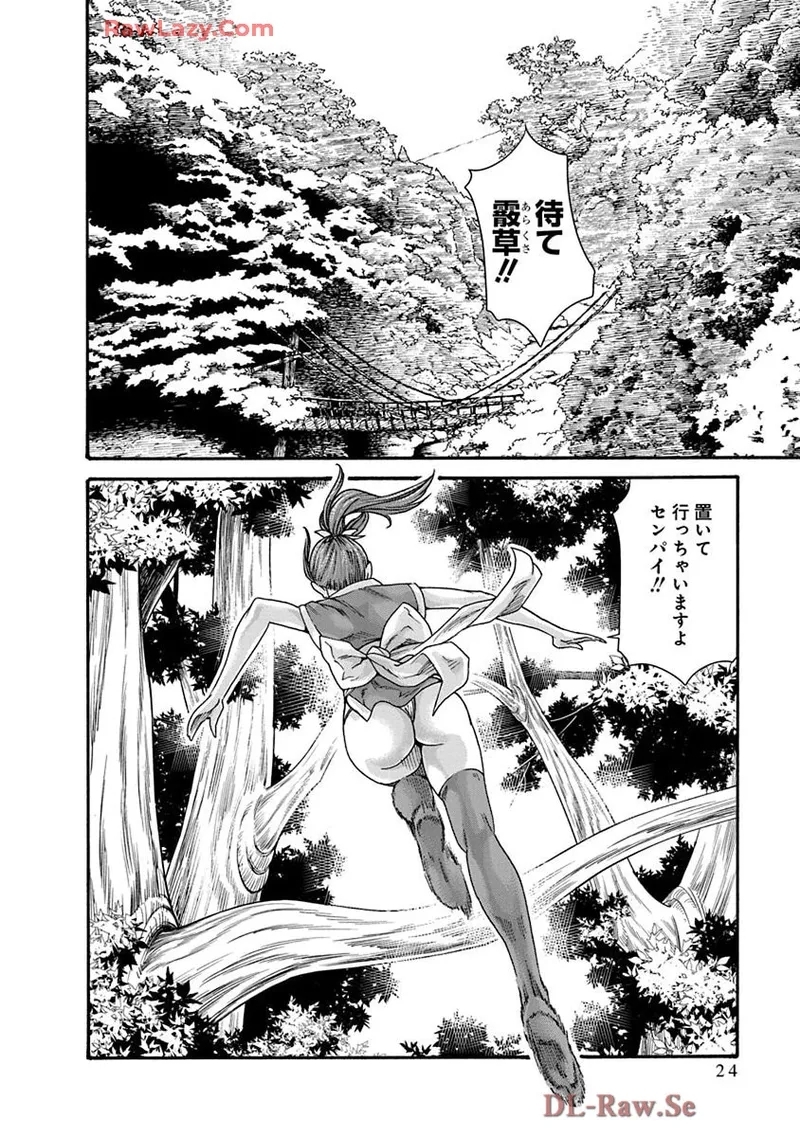 Araxa Ninpo-Cho Volume. 9 25