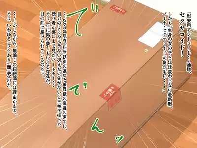 「ワケあり」格安セクサロイドを衝動買いしたら、 超乳○リ少女が届いた。 3