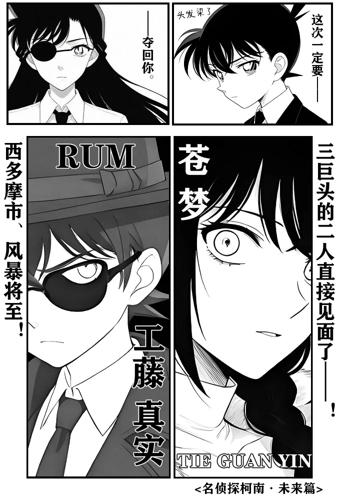 给福尔摩斯的安魂曲:终曲篇（detective conan） 25