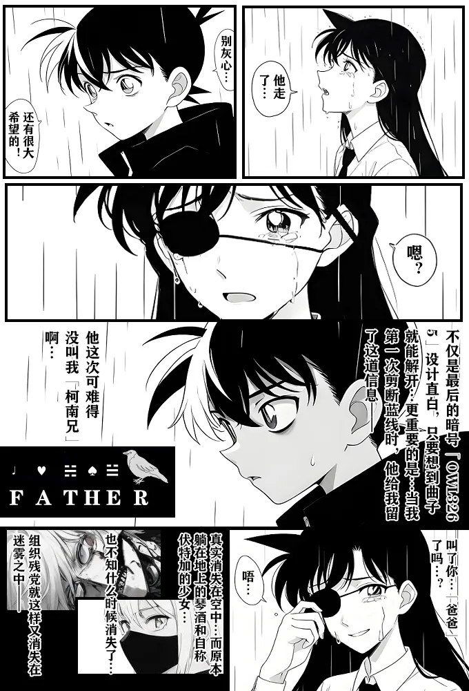 给福尔摩斯的安魂曲:终曲篇（detective conan） 8