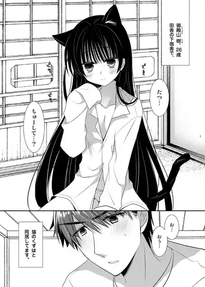 Neko Ecchi 3