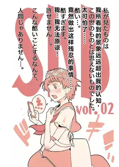 SKB vol. 2 4