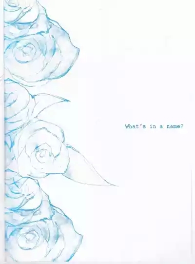 ANOTHER ROSE 2