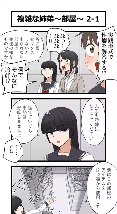 複雑な姉弟～部屋～ 3