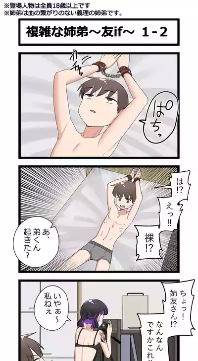 複雑な姉弟～友if～ 2
