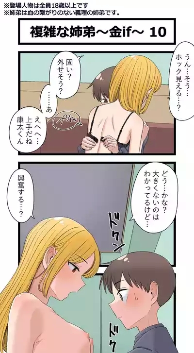 複雑な姉弟～金if～ 10