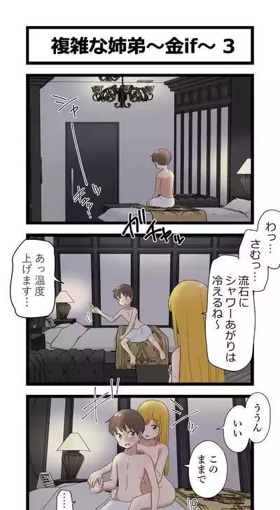 複雑な姉弟～金if～ 3