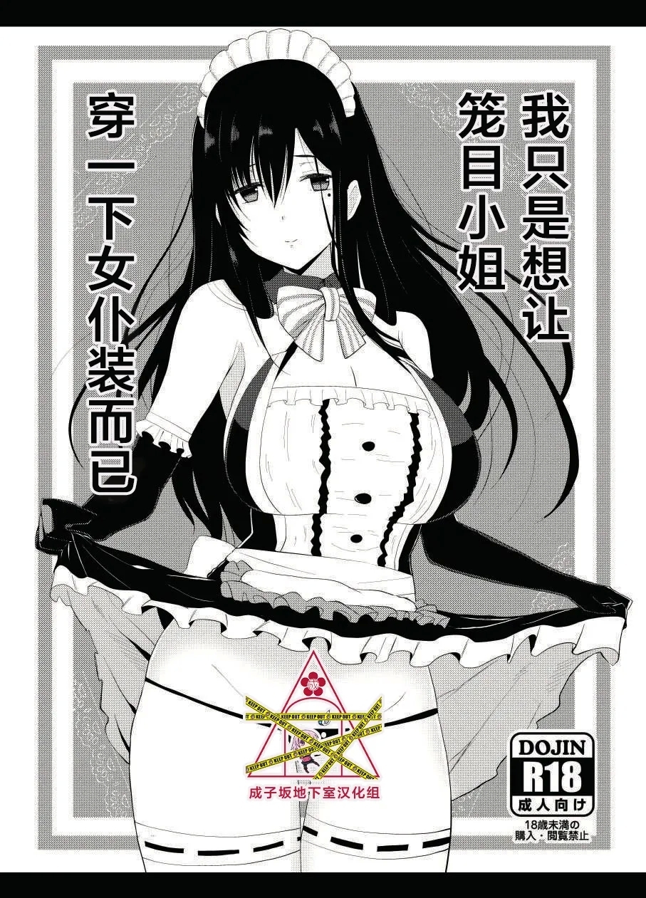 I just wanted to dress Kagome-san in a maid outfit | 我只是想让笼目小姐穿一下女仆装而已（Alice Gear Aegis） 1