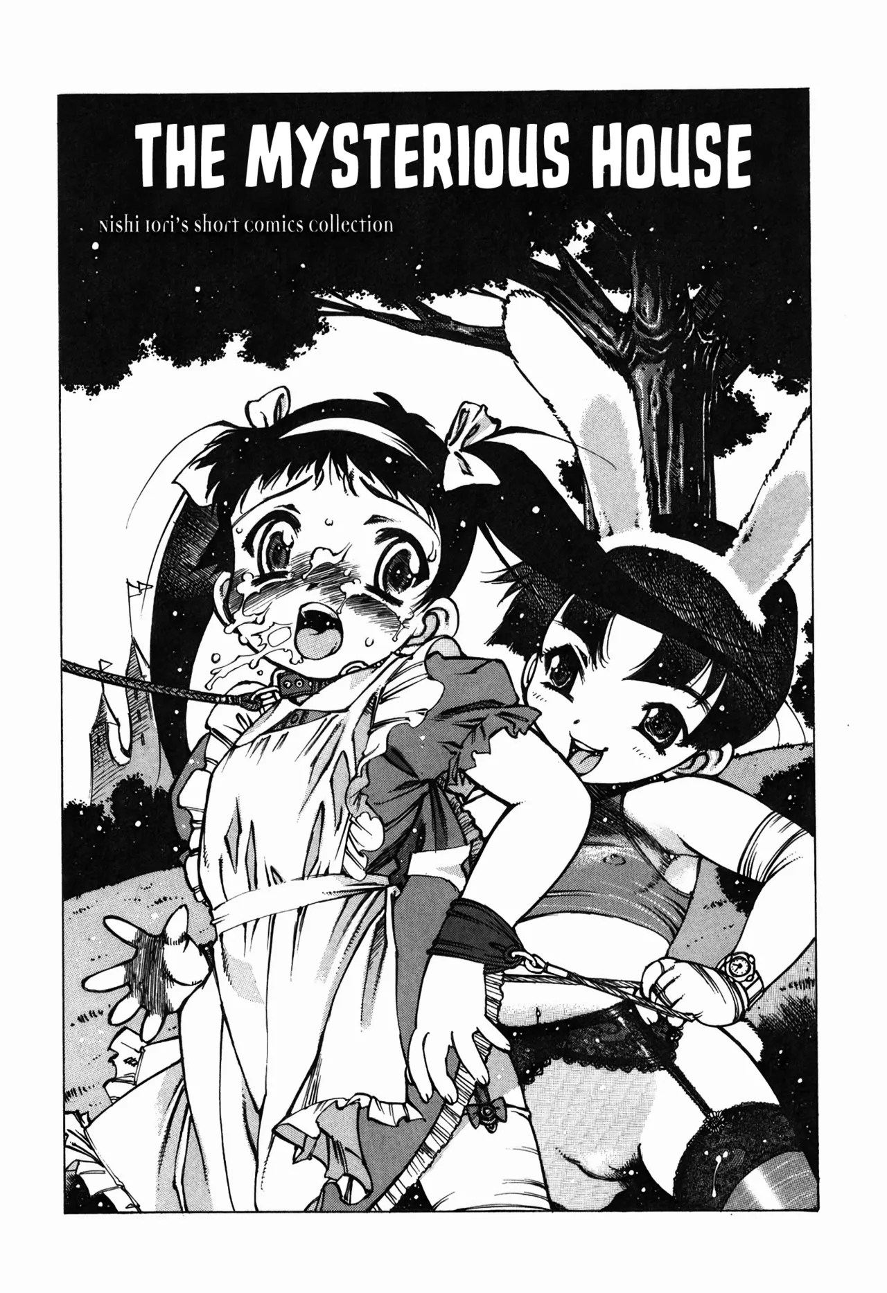 The Fushigi no Ie | The Mysterious House - Page 2