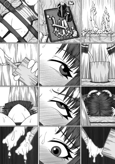 猫 10