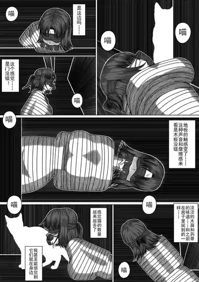 猫 4