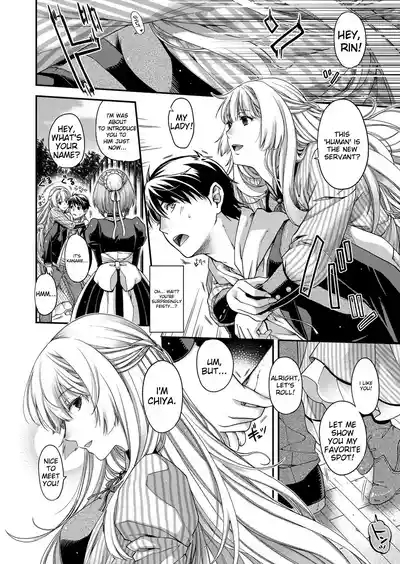 Amadeus 7