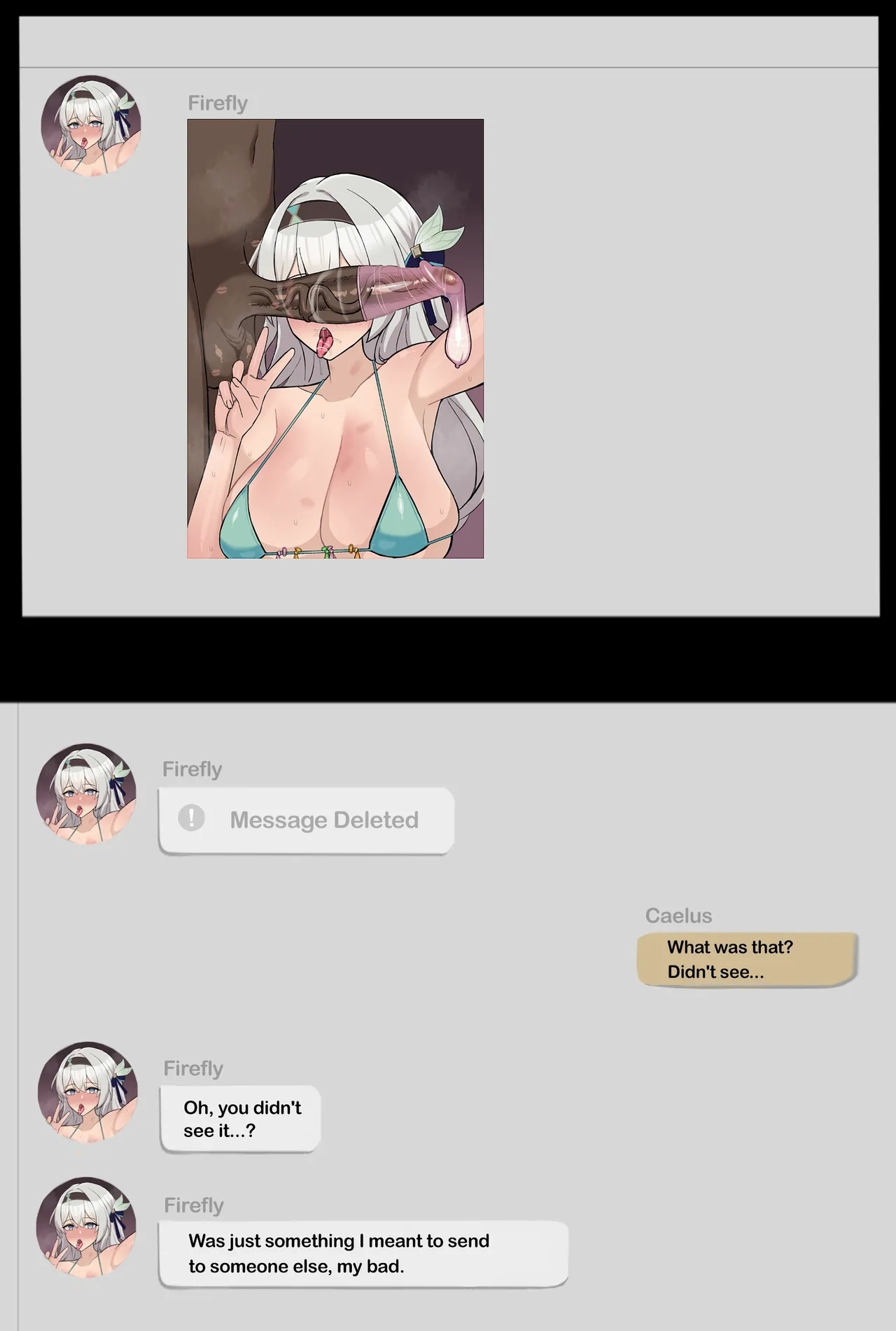 Honkai Star Rail Firefly NTR - Page 3