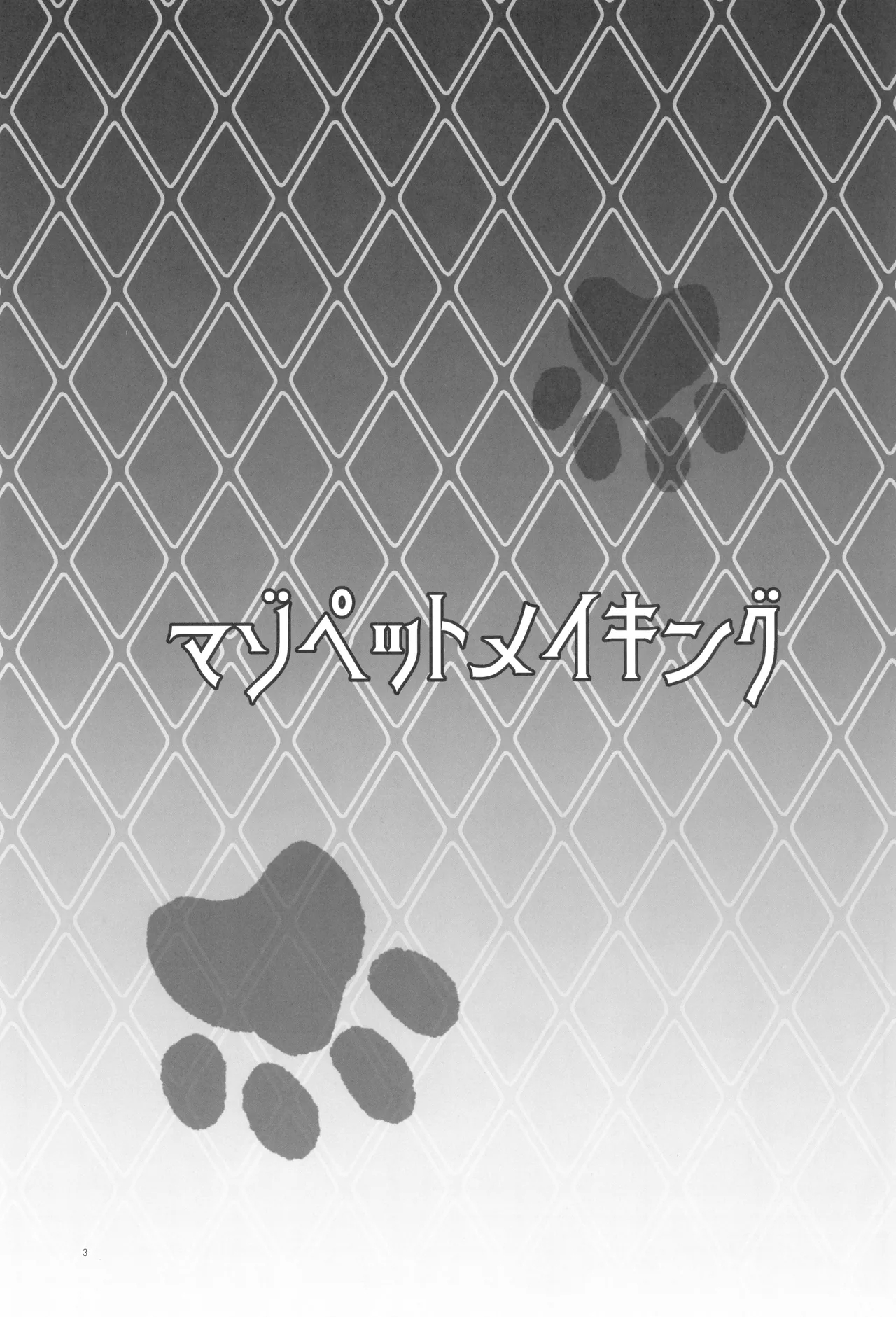 Maso Pet Making + Paper - Page 2