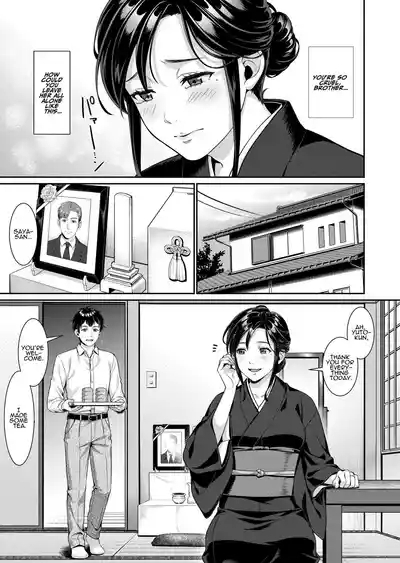 NeeMiboujin no Gishi to Ore no Midara na Hibiin-law 3