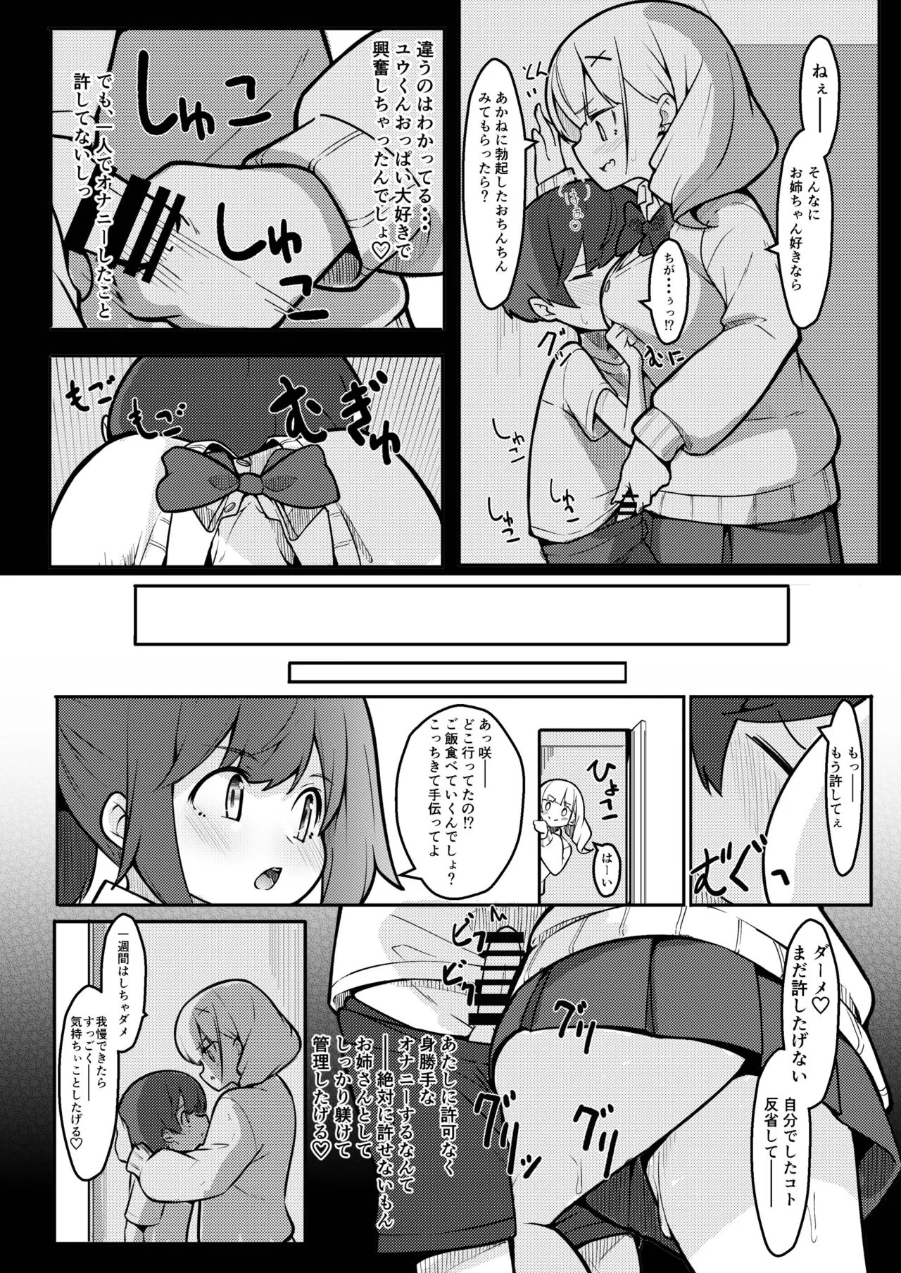 僕がお姉ちゃんの友達とえっちしているコトは誰も知らない。 - Page 14