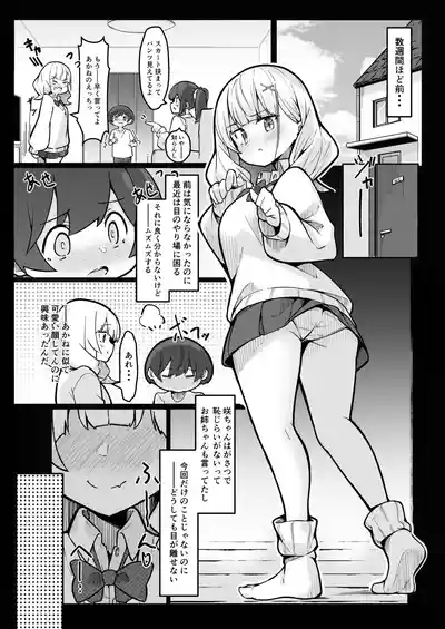 僕がお姉ちゃんの友達とえっちしているコトは誰も知らない。 5