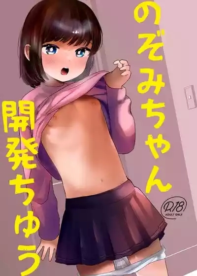 Nozomi-chan Kaihatsuchuu | 開發小望醬 1