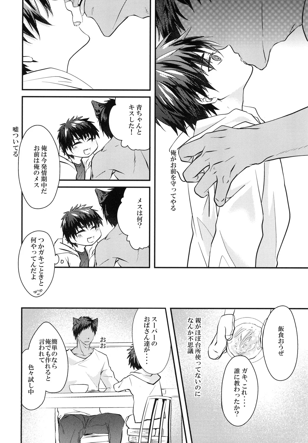 猫にニャンニャン泣かされて - Page 13