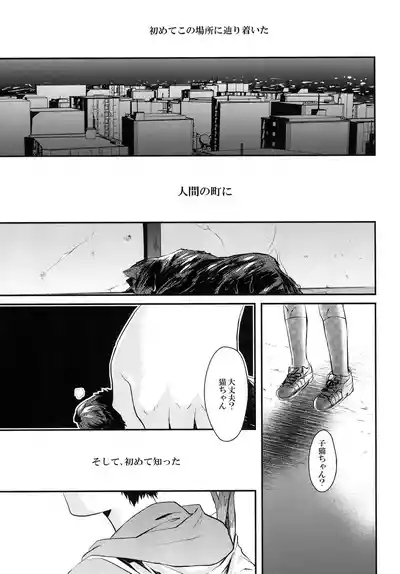猫にニャンニャン泣かされて 6