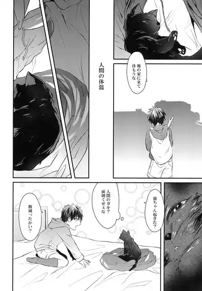 猫にニャンニャン泣かされて 7