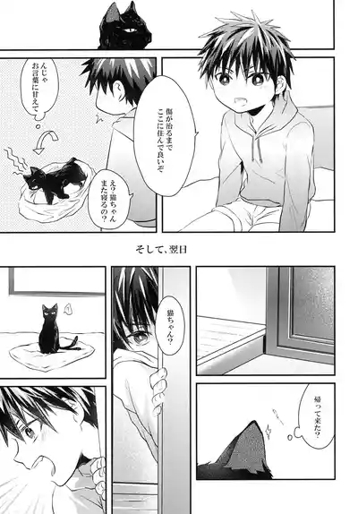 猫にニャンニャン泣かされて 8
