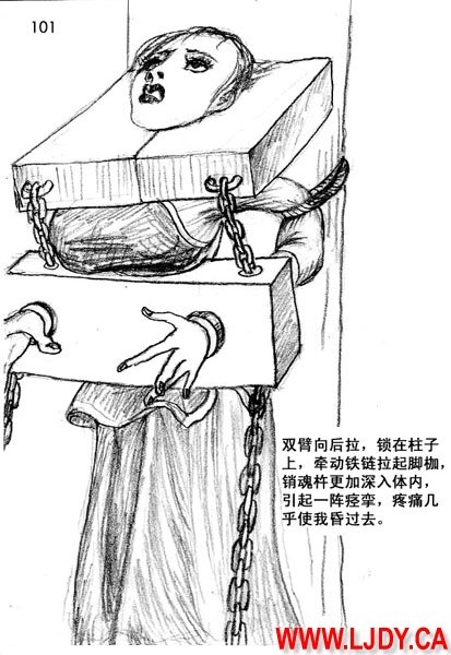 身临其境 113