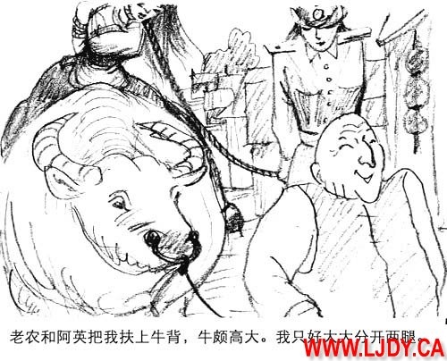 身临其境 44