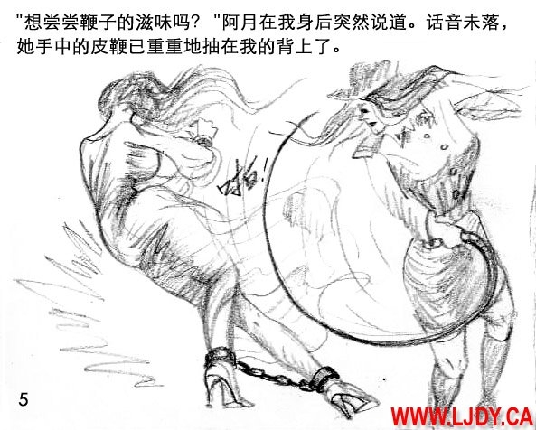 身临其境 5