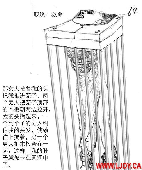 身临其境 64
