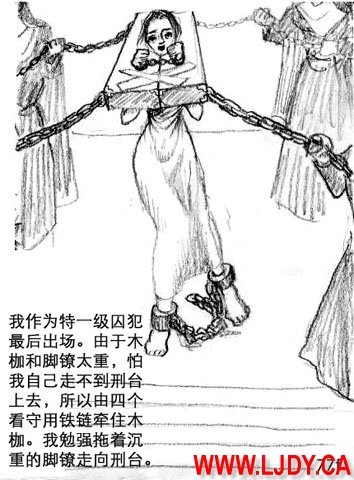 身临其境 86