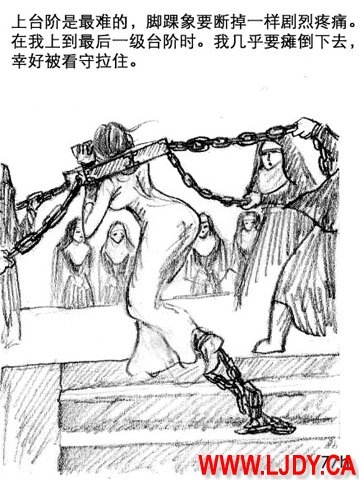 身临其境 88