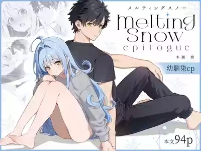 Melting Snow 1