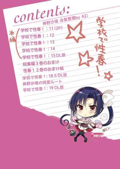 Gakkou de Seishun! Kamino Saori Collection 12-15+18.5+Junai Route+19+20 Omakebon 5