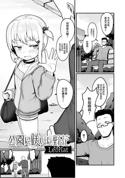 公園に咲いた野花 1